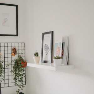 White Bathrrom with Photos and Plant on Shelf