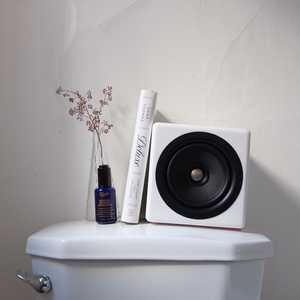 Toilet with Booke Speaker Polish and Plant on Top