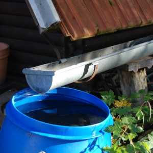 two gutters leading into a large blue bucket to harvest the rainwater
