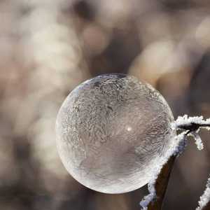 Sphere of Ice on Snowy Tree Branch