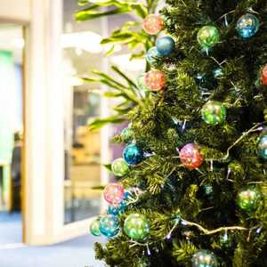 Christmas Tree in Rightio Office